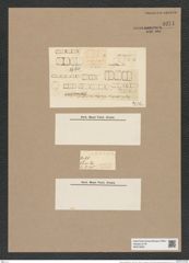 Melosira subflexilis Ktz. (de-Toni-Nr.: Genus 213, Species 1279415) Zeichnungen Sammlung Grunow Nr. 9271 (NHMW-BOT-W0379066)